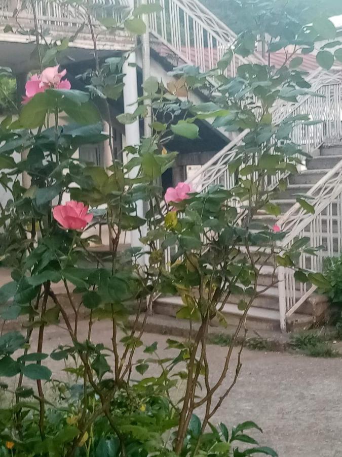 Jvari Guest House Knarik מראה חיצוני תמונה